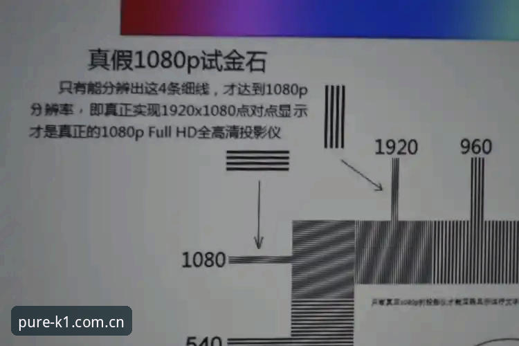 K1中国官方赛事数据官方下载详解：三个玩家真实体验后的选择指南